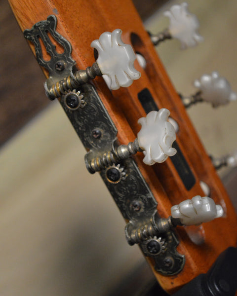 Giannini Craviola AWKN-6 Nylon String Classical Acoustic (w/Pickup) 1979
