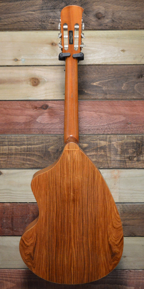 Giannini Craviola AWKN-6 Nylon String Classical Acoustic (w/Pickup) 1979