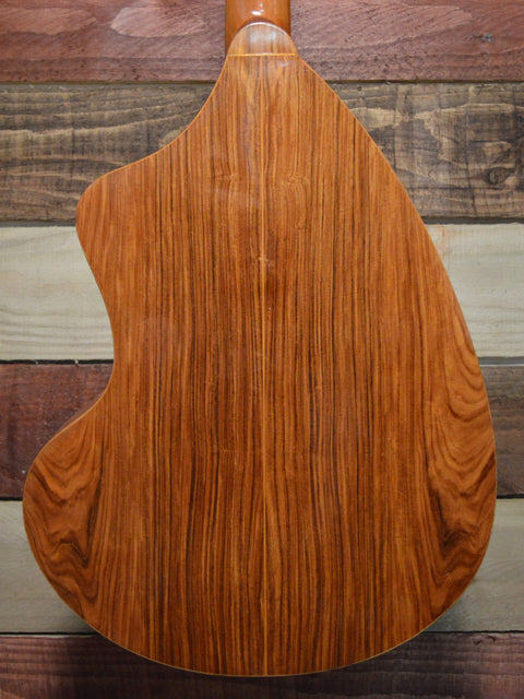 Giannini Craviola AWKN-6 Nylon String Classical Acoustic (w/Pickup) 1979