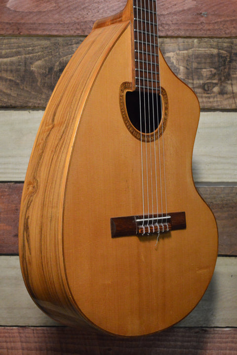 Giannini Craviola AWKN-6 Nylon String Classical Acoustic (w/Pickup) 1979