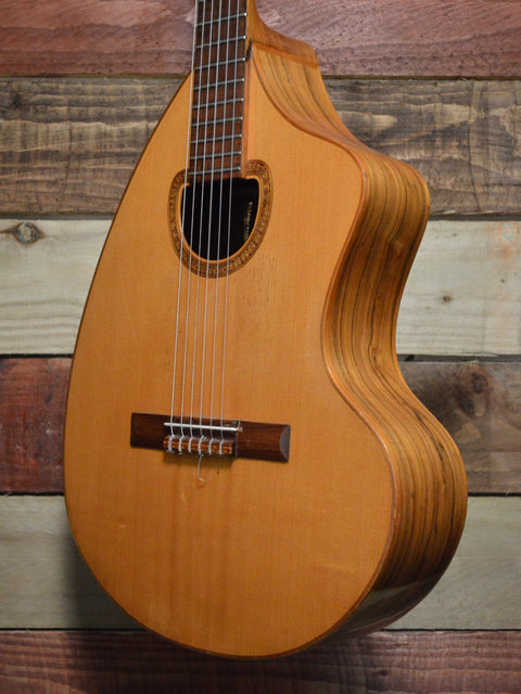 Giannini Craviola AWKN-6 Nylon String Classical Acoustic (w/Pickup) 1979