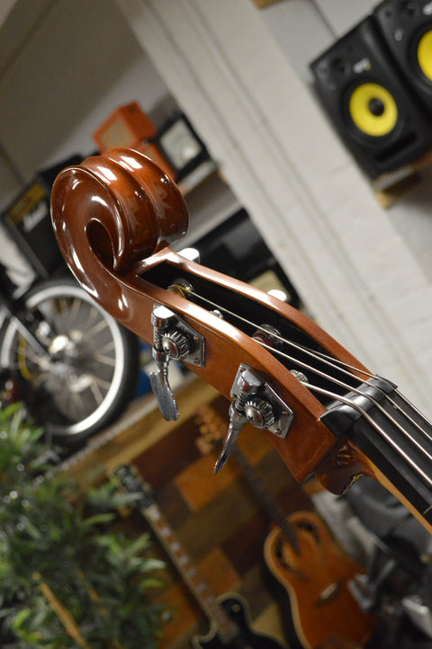 Eminence RN-4 Electric-Acoustic Upright Bass