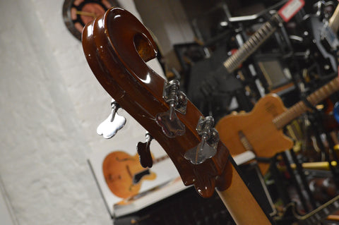 Eminence RN-4 Electric-Acoustic Upright Bass