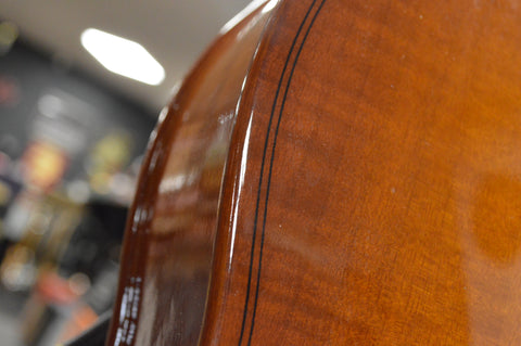 Eminence RN-4 Electric-Acoustic Upright Bass