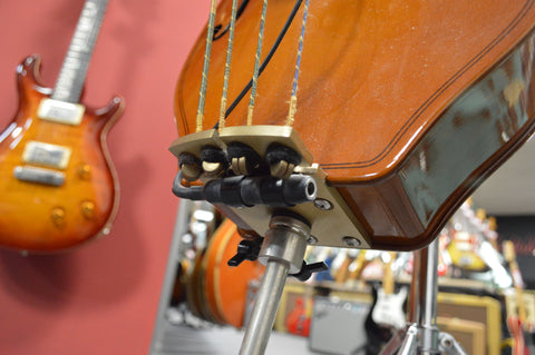 Eminence RN-4 Electric-Acoustic Upright Bass