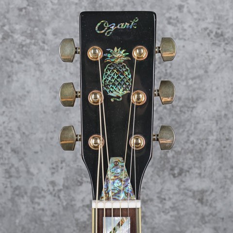 Ozark 3515BTE Engraved Thinline Electric Resonator Chrome