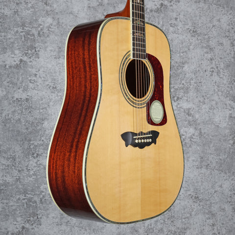 Washburn Flint Hill WD52SW Dreadnought Acoustic
