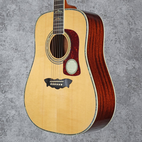 Washburn Flint Hill WD52SW Dreadnought Acoustic