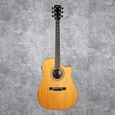 Larrivee DV-09E Natural 2001