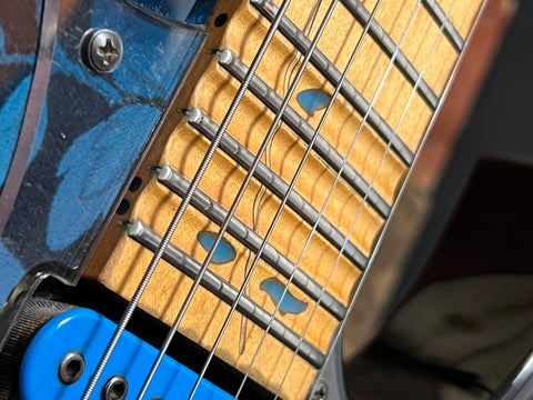 Ibanez JEM77-BFP Steve Vai Signature Blue Floral Pattern 1991