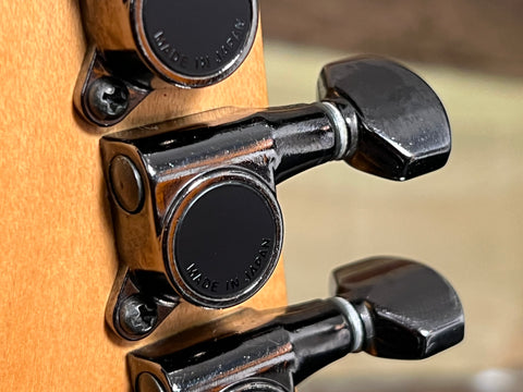 Ibanez JEM77-BFP Steve Vai Signature Blue Floral Pattern 1991