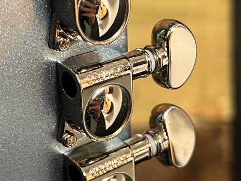 Epiphone Dave Grohl Signature DG-335 2024