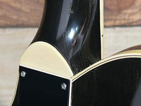 Gretsch 7681 Atkins Super Axe 1979 Ebony Stain