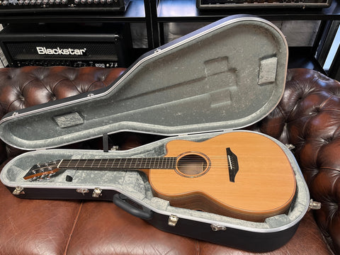 McIlroy AP-25C Custom "Performer series" 2022