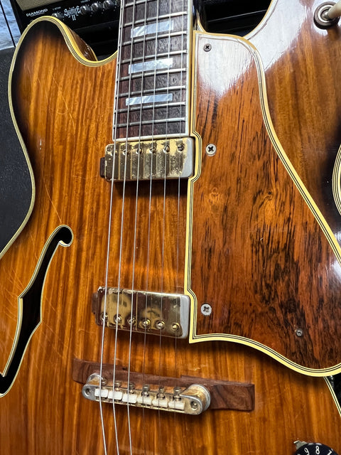 Gibson Crest "Gold" Thinline Brazilian Rosewood 1969