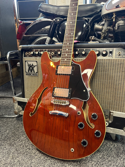 Westone Rainbow 1 Translucent Brown 1982 MIJ with original case