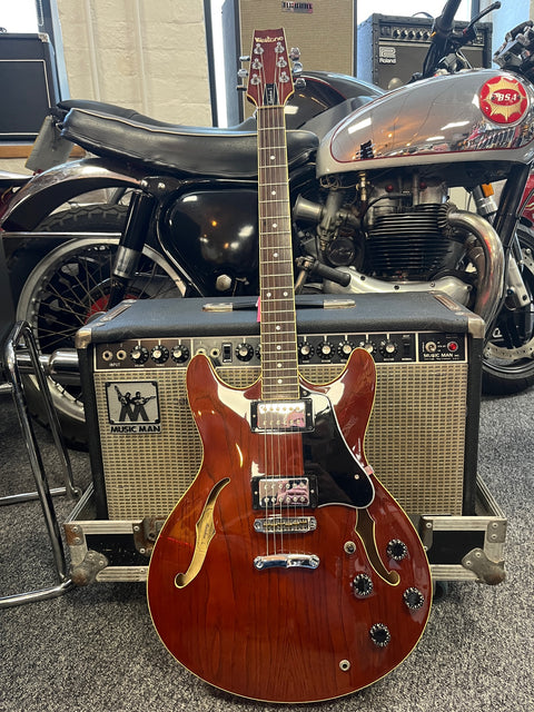 Westone Rainbow 1 Translucent Brown 1982 MIJ with original case