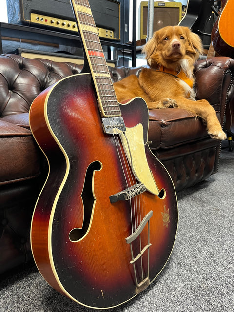 Hoyer Esquire Model 19 1956 - Sunburst