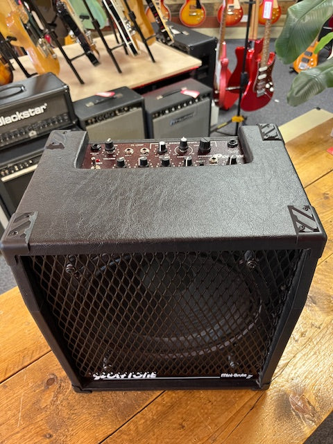 1980's Polytone Minibrute II 100watt Combo Amp