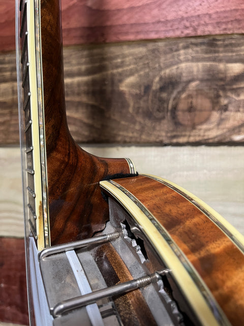 Stelling Staghorn Five String Banjo 2000's - Walnut Gloss