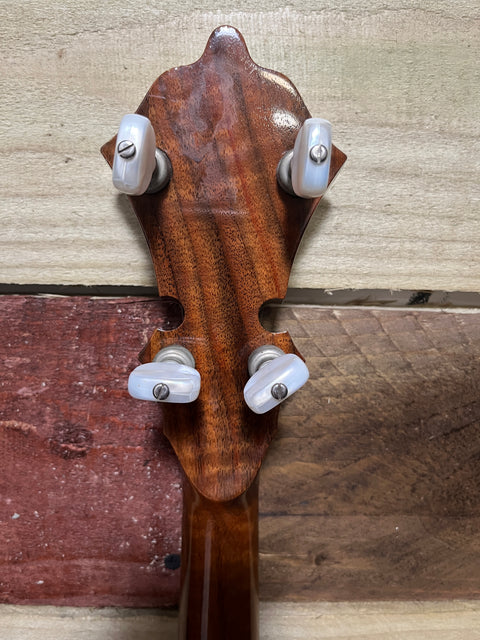 Stelling Staghorn Five String Banjo 2000's - Walnut Gloss