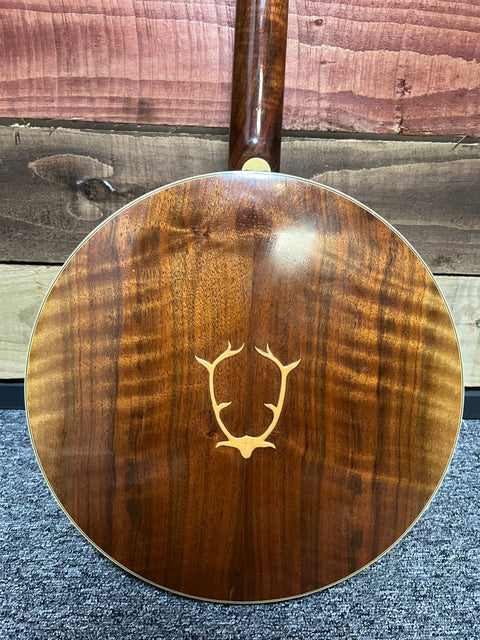 Stelling Staghorn Five String Banjo 2000's - Walnut Gloss