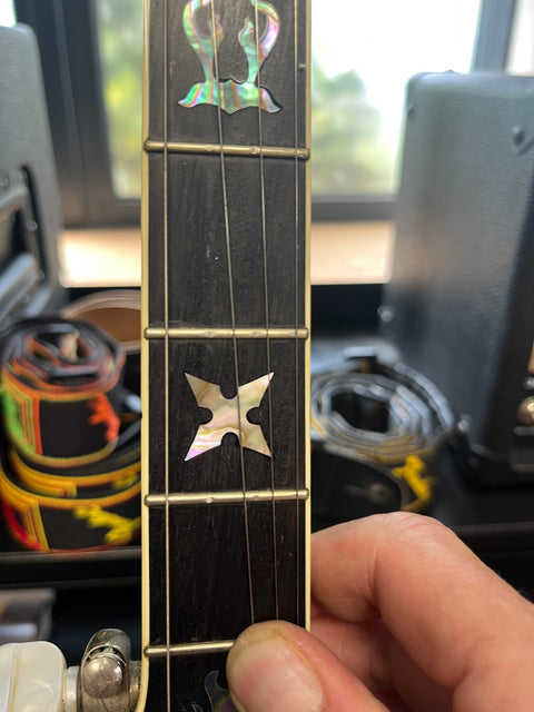 Stelling Staghorn Five String Banjo 2000's - Walnut Gloss