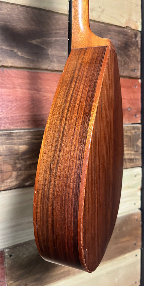 Barry Ford A Style Mandolin 1995 - Natural