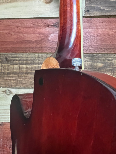 Gretsch 6119 Chet Atkins Tennessean 1967- Walnut Brown