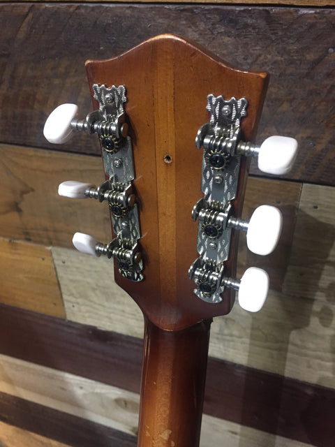 Hofner Senator 1956 Brunette with pickup