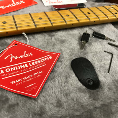 Fender American Professional II Telecaster in Roasted Pine 2022