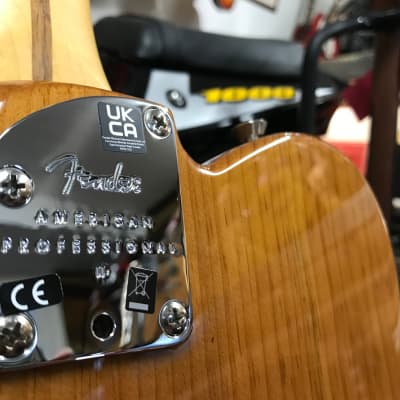 Fender American Professional II Telecaster in Roasted Pine 2022